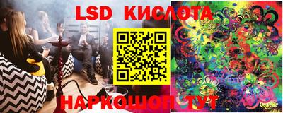 стаф Славгород