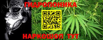 стаф Славгород