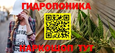 стаф Славгород