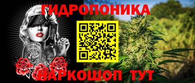 индика Славянск-на-Кубани