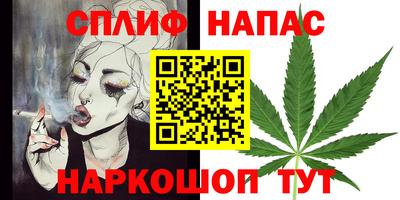 ешки Сланцы
