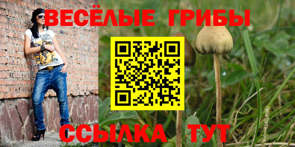 Псилоцибиновые грибы мицелий Ростов-на-Дону