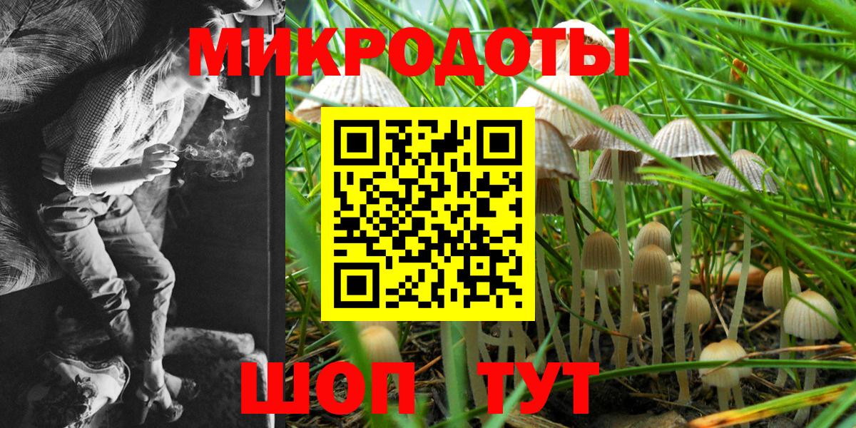 где продают   Галлюциногенные грибы прущие грибы  Вход с VPN  Ростов-на-Дону 
